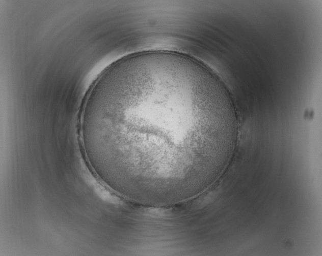 X0000111941086200907271407