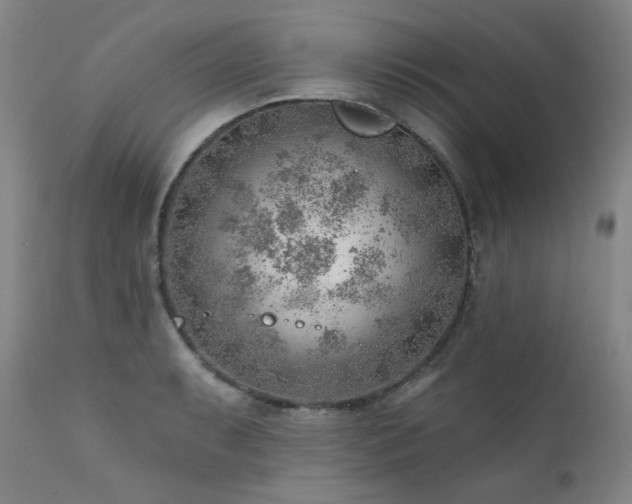 X0000111941087200907271407