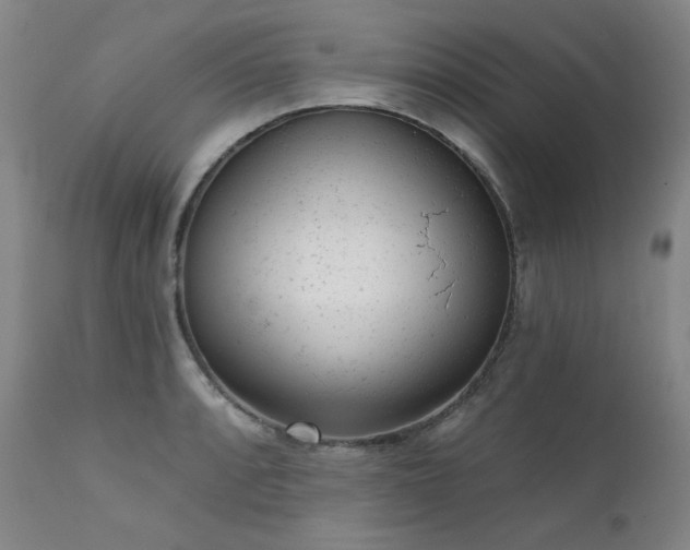 X0000111941088200907271407