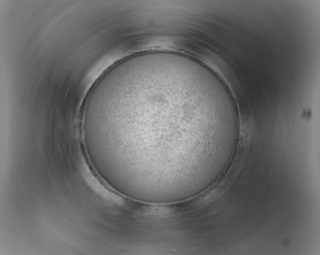 X0000111941090200907271407