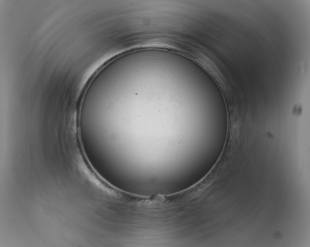 X0000111941092200907271407