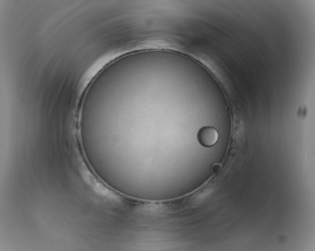 X0000111941094200907271407