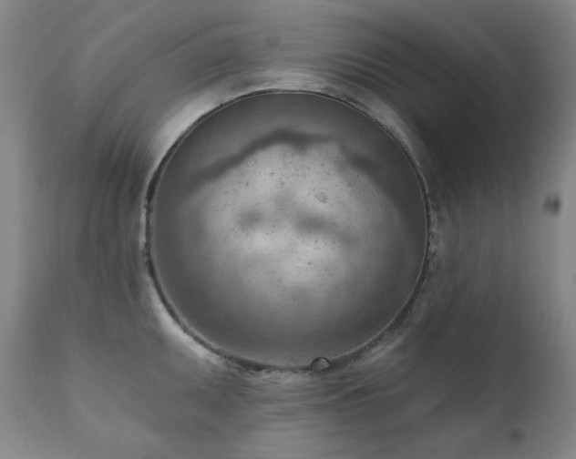 X0000111941095200907271407