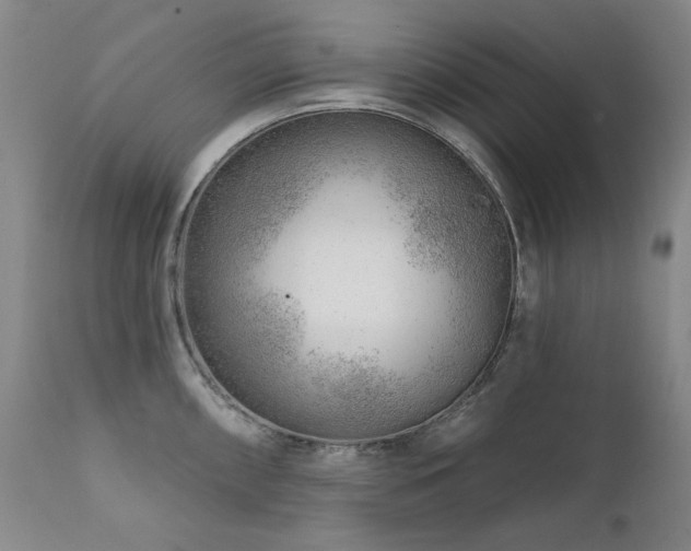 X0000111941098200907271407