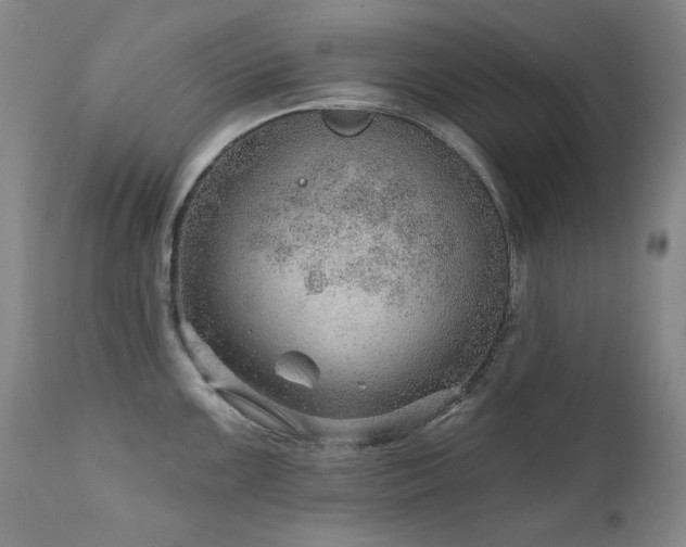 X0000111941099200907271407