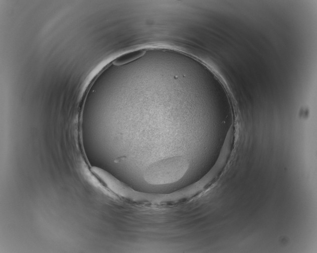 X0000111941100200907271407