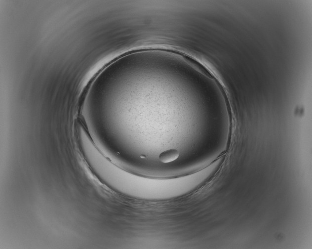 X0000111941101200907271407