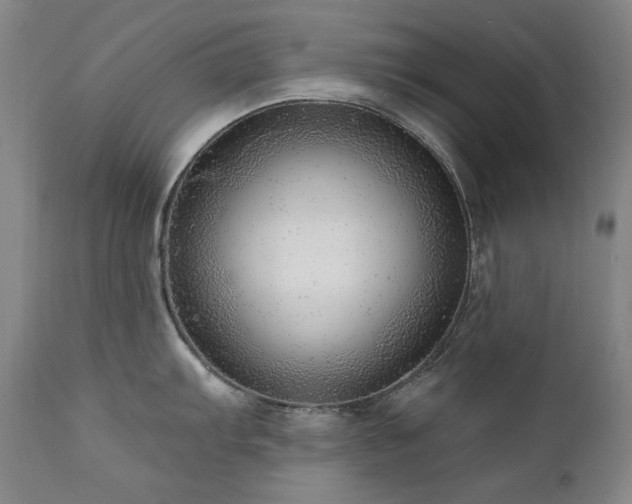 X0000111941103200907271407