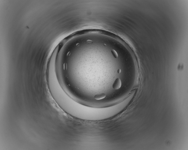 X0000111941104200907271407