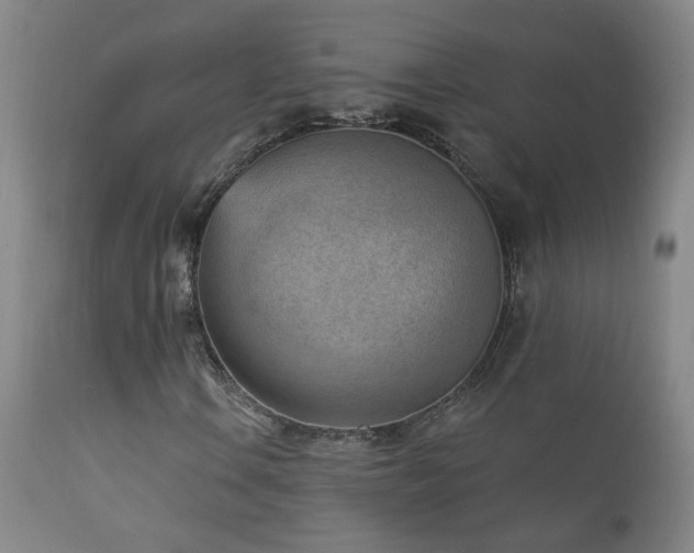 X0000111941106200907271406