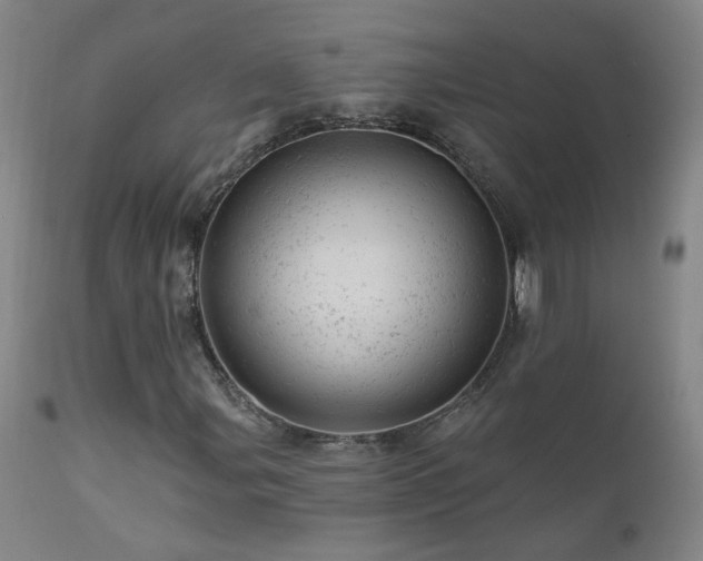 X0000111941107200907271406