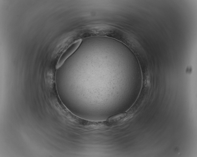 X0000111941108200907271406