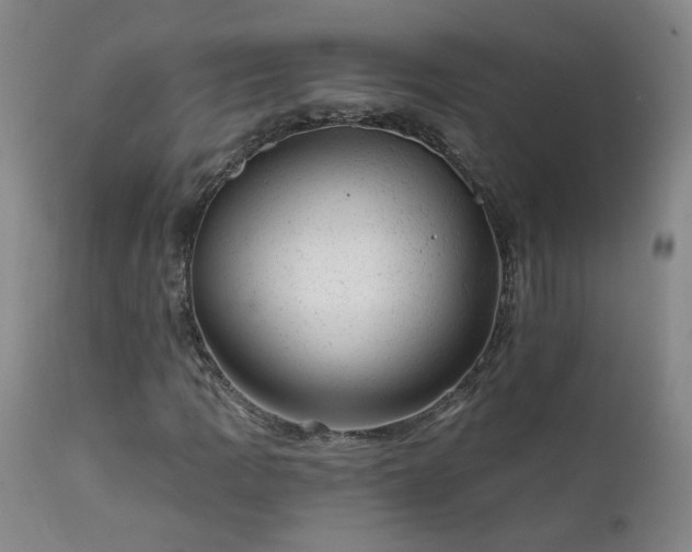 X0000111941109200907271406