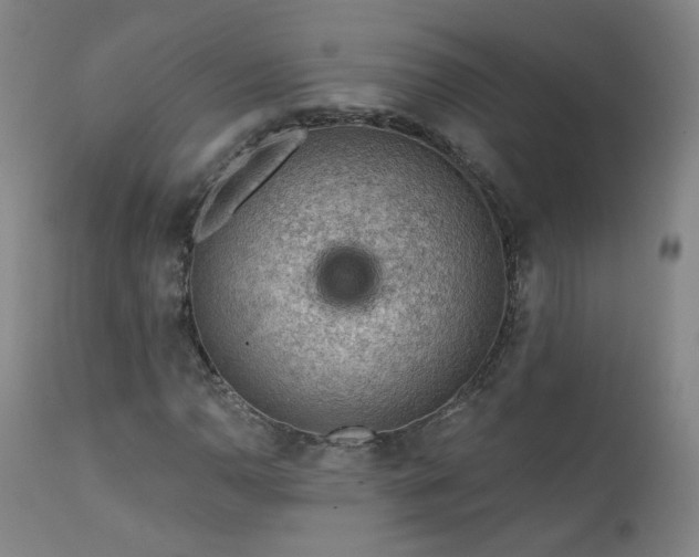 X0000111941110200907271406