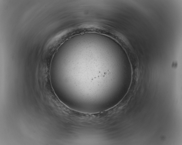 X0000111941111200907271406