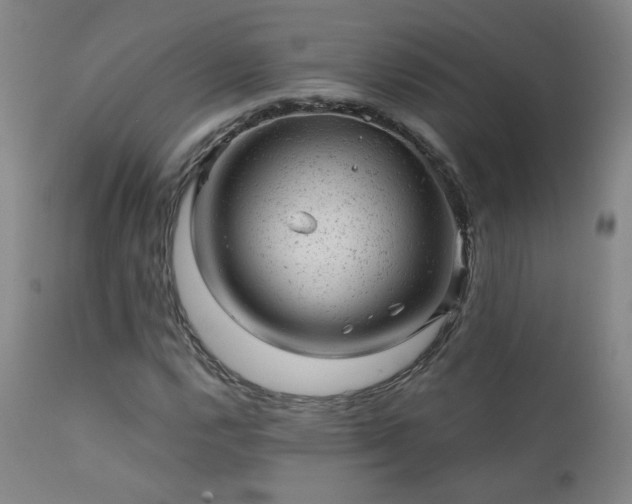 X0000111941112200907271406