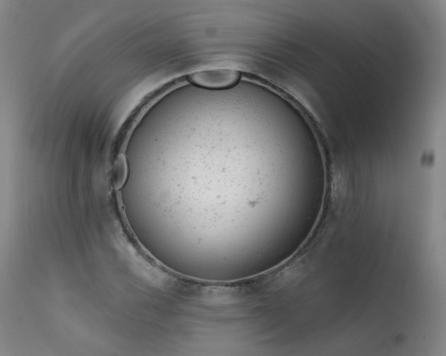 X0000111941116200907271406