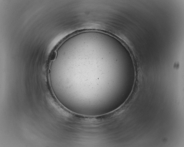 X0000111941120200907271407