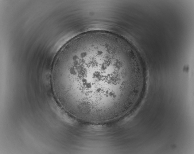 X0000111941121200907271407