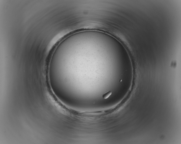 X0000111941122200907271407