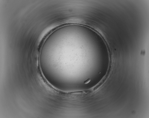 X0000111941123200907271407