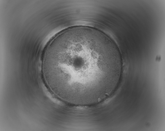 X0000111941125200907271407