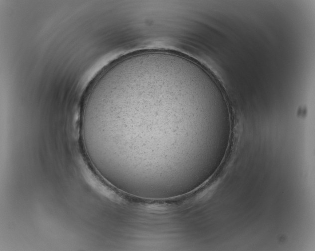 X0000111941126200907271407