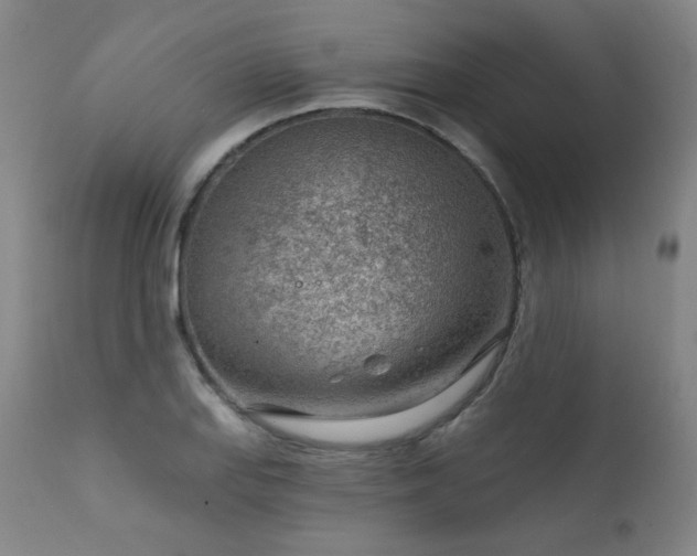 X0000111941127200907271407