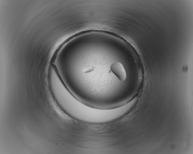 X0000111941128200907271407