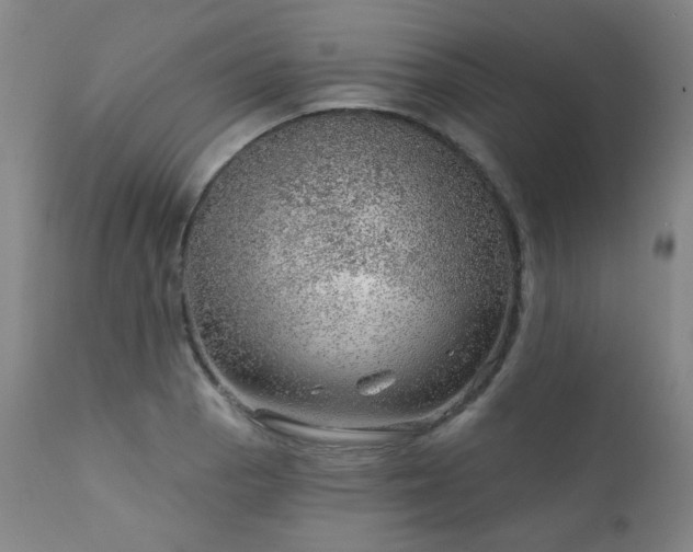 X0000111941129200907271407