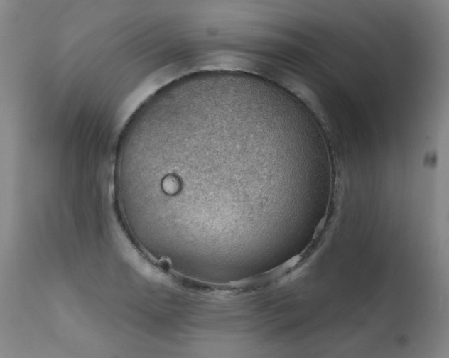 X0000111941130200907271407