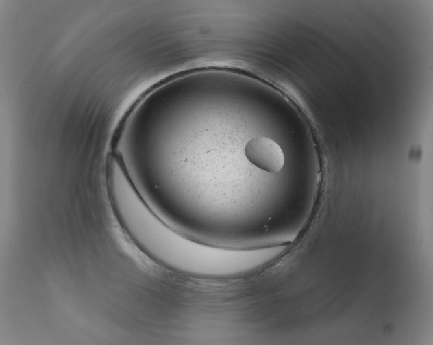 X0000111941132200907271407