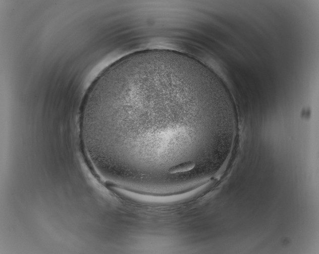 X0000111941133200907271407