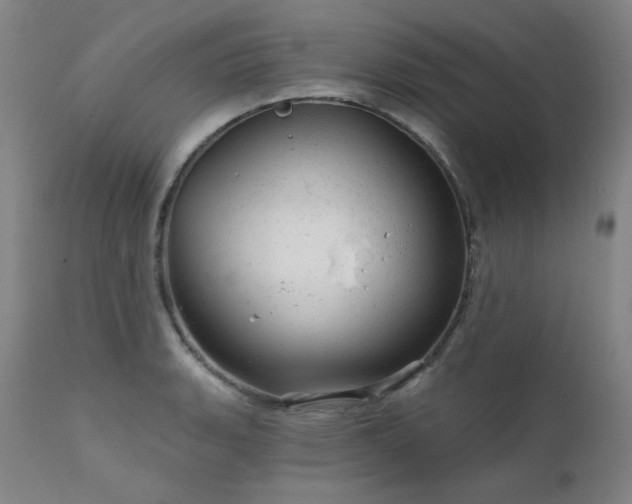 X0000111941135200907271407