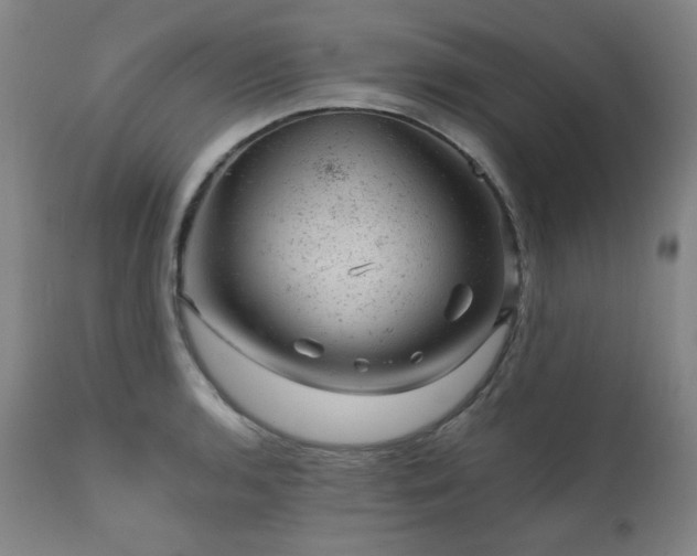 X0000111941136200907271407