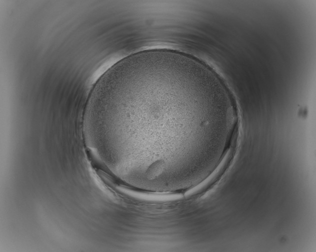 X0000111941137200907271407