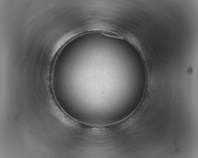 X0000111941138200907271407