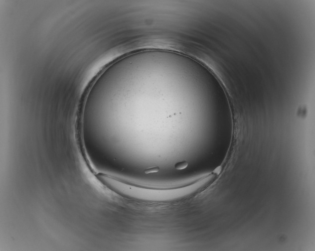 X0000111941139200907271407