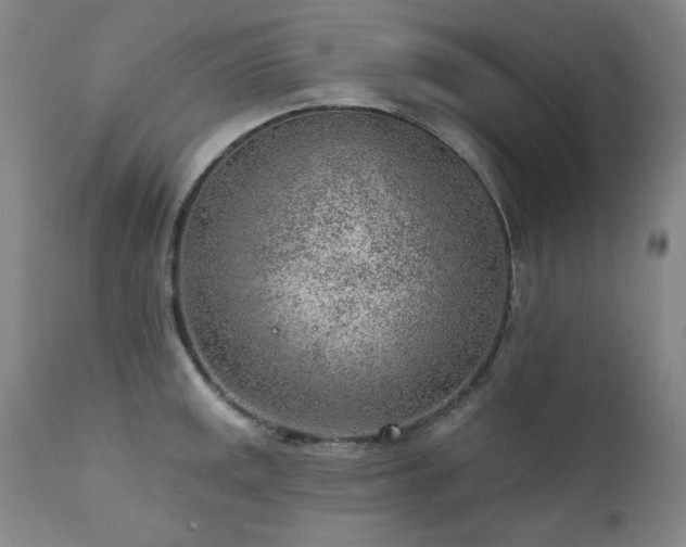 X0000111941141200907271407