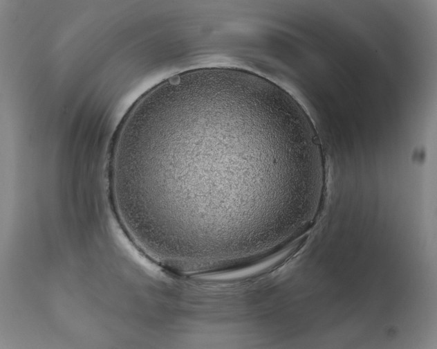 X0000111941142200907271407