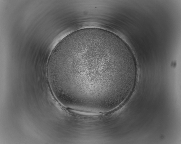 X0000111941145200907271407