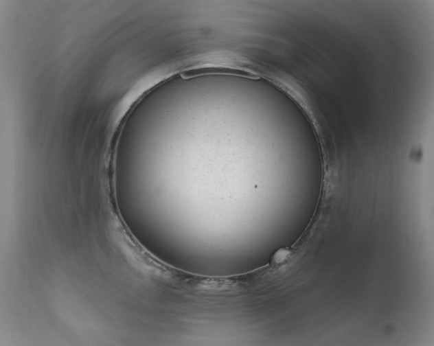 X0000111941146200907271407