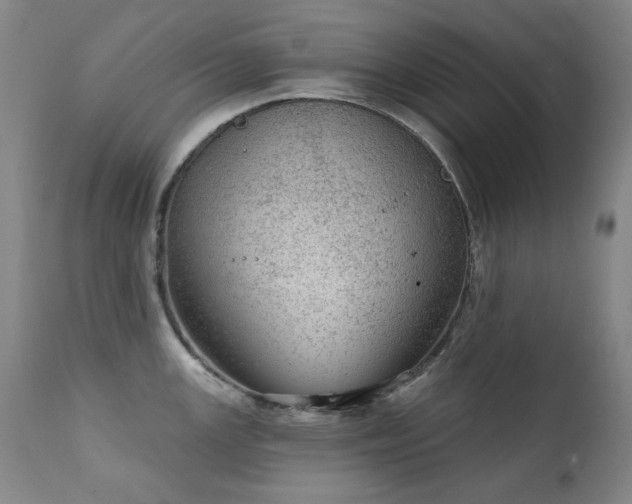 X0000111941147200907271407