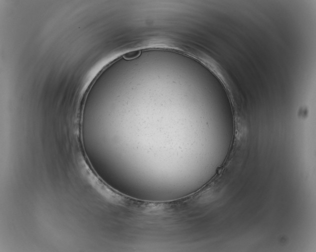 X0000111941148200907271407