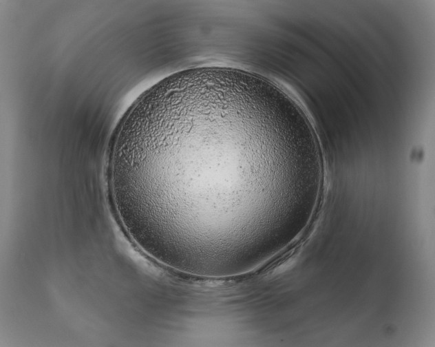 X0000111941149200907271407