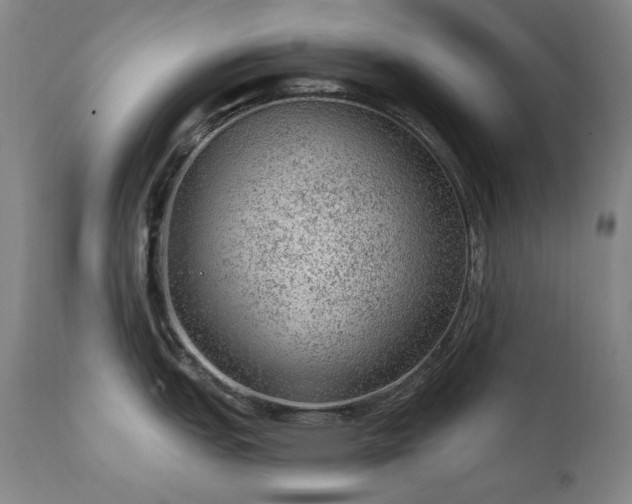 X0000111941151200907271407