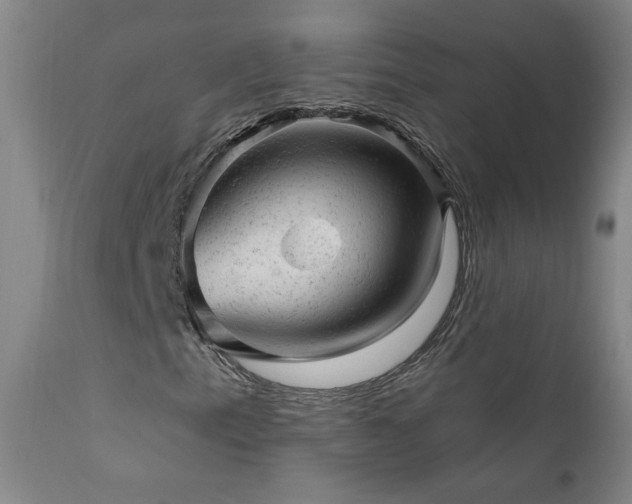 X0000111941153200907271406