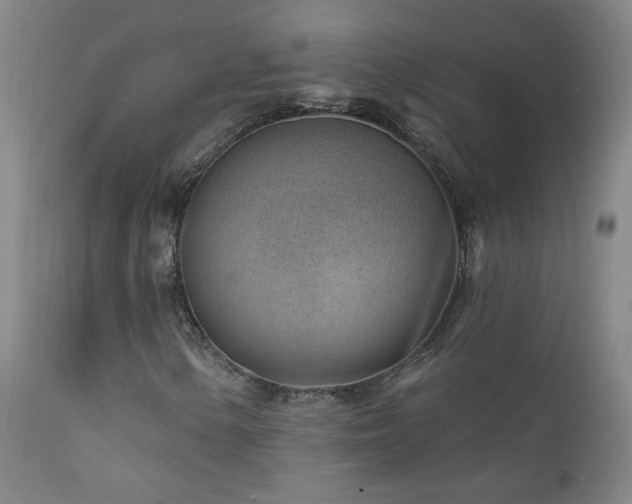 X0000111941154200907271406