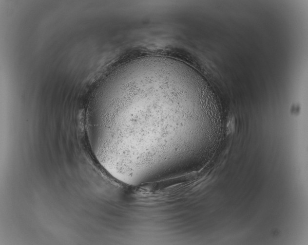 X0000111941156200907271406