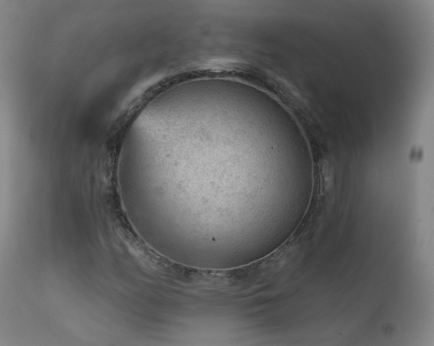 X0000111941158200907271406